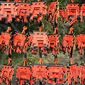 사주풀이로 알아보는 인생의 비밀! CDR까지 알면 더 좋다!