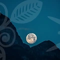 신점과 사주: 이사 전에 알아야 할 필수 가이드✨