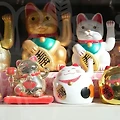 타로자격증, 이렇게 준비하세요! ✨