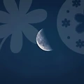 케이크박스주문제작, 당신의 특별한 날을 위한 완벽한 선택