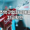 내생에첫주택대출 한도와 금리 조건 비교하기