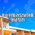 빌라 담보 대출, 책상 위 이론보다 무서운 현실적인 고민들