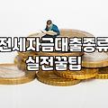 전세담보대출 한도와 금리 결정하는 핵심 조건