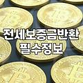 전세자금반환대출, 현실적인 조언과 마주한 냉혹한 변수들