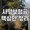 내게 꼭 맞는 생명보험, 이것만은 알고 가입하세요