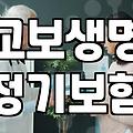 보험 앱을 켰다가 결국 상담원과 통화하게 된 이유