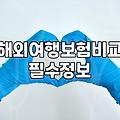 해외여행자보험, ‘가성비’만 따지다가 겪은 현실적인 고민들