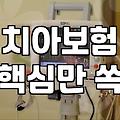 라이나생명보험 보장 범위와 가입 전 확인해야 할 주요 조건