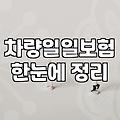 친구 차를 잠깐 빌려 타려다 겪은 원데이 보험의 늪