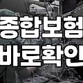 몇 년째 내는 보험료가 갑자기 아깝게 느껴지던 날