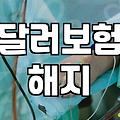 달러보험, 과연 환차익만 보고 가입하는 게 맞을까?