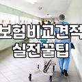 보험, 똑똑하게 가입하는 법: 경험자의 솔직한 이야기