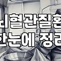 2대 질병 보험, 뇌혈관과 심장 진단비를 고민하는 당신에게