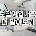집 구석 어딘가에 박혀있던 보험 증권들을 꺼내보았다