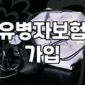 당뇨고혈압보험 가입 시 고지사항과 보장 범위 확인하기