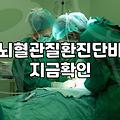 뇌출혈보험, 과연 현명한 선택일까? 현실적인 고민과 조언