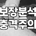 보험정리 제대로 시작하는 실전 기준과 우선순위