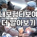 도대체 내가 뭘 들었는지 기억이 안 나서 시작한 보험 정리
