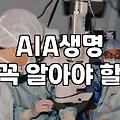 AIG생명보험 계약 인수 과정과 현재 국내 남은 영향