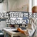 내가 가입한 보험, 어떻게 조회하고 관리해야 할까?