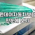 원데이 자동차보험, 정말 만능일까? 30대 직장인의 현실적인 고찰