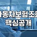 자동차보험가입확인 방법과 놓치기 쉬운 필수 체크사항