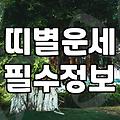 내일운세 확인하는 시간대와 결과를 해석하는 기준