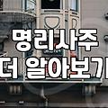 사주사이트 이용 비용과 실제 적중률 결정 요소