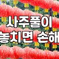 갑자기 사주 보러 갔다가 묘한 기분으로 돌아왔다