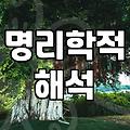 인터넷사주 풀이의 정확도와 실질적인 활용법 알아보기