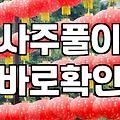 전화사주 비용 결정 요인과 실제 상담 환경 확인하기