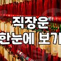 말띠운세 확인 시 반드시 고려해야 할 사주 역학의 핵심 변수