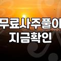 새해운세 확인 방법과 플랫폼별 비용 비교