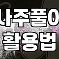 인터넷 무료 사주와 궁합 테스트를 이용할 때 알아두면 좋은 점