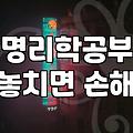 내 사주를 스스로 들여다보기 위한 첫걸음과 현실적인 명리학 공부 방법