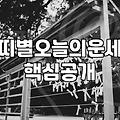 뱀띠운세 흐름을 파악하고 일상에서 실질적인 조언을 얻는 법