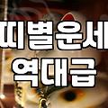 양띠운세 확인하는 방법과 연령대별 해석 차이