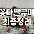 승진 축하 꽃다발 하나 사려다 강남까지 가게 된 사연