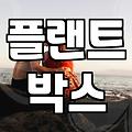 사무실대형화분 선택할 때 반드시 고려해야 할 현실적인 기준