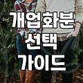 개업 화분 선물, 예쁜 쓰레기가 되지 않으려면 알아야 할 현실들