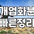 아파트 베란다에서 화분 고를 때 고려할 실질적인 고민들