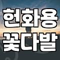 성묘꽃다발 선택 기준과 묘소 환경에 따른 관리 방법
