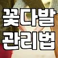 특별한 날 생화 꽃다발 준비할 때 알아두면 좋은 점들