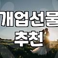 병원개업화분 선택 기준과 적절한 배치 관리법