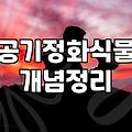 승진 선물이나 생일 화환, 정말 실용적일까? 식물과 함께하는 현실적인 고민들
