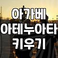 백 년에 한 번 핀다는 꽃 소리에 덜컥 들여온 아가베