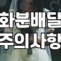 승진이나 개업 선물로 화분 보낼 때 알아두면 좋은 점들