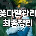 꽃다발 선물, 낭만보다는 현실적인 고려사항들