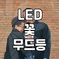 시들지 않는 꽃을 찾는다면 LED 조화는 어떨까