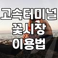 고속터미널 꽃시장에서 꽃자재와 식물 쇼핑하기